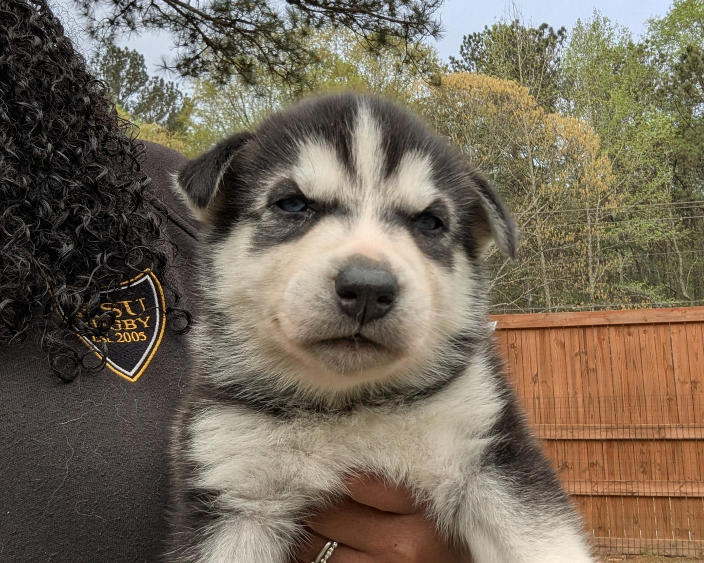 Bruno ♂️ (Adopted) "Omega"